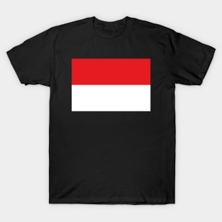 Flag of Indonesia T-Shirt